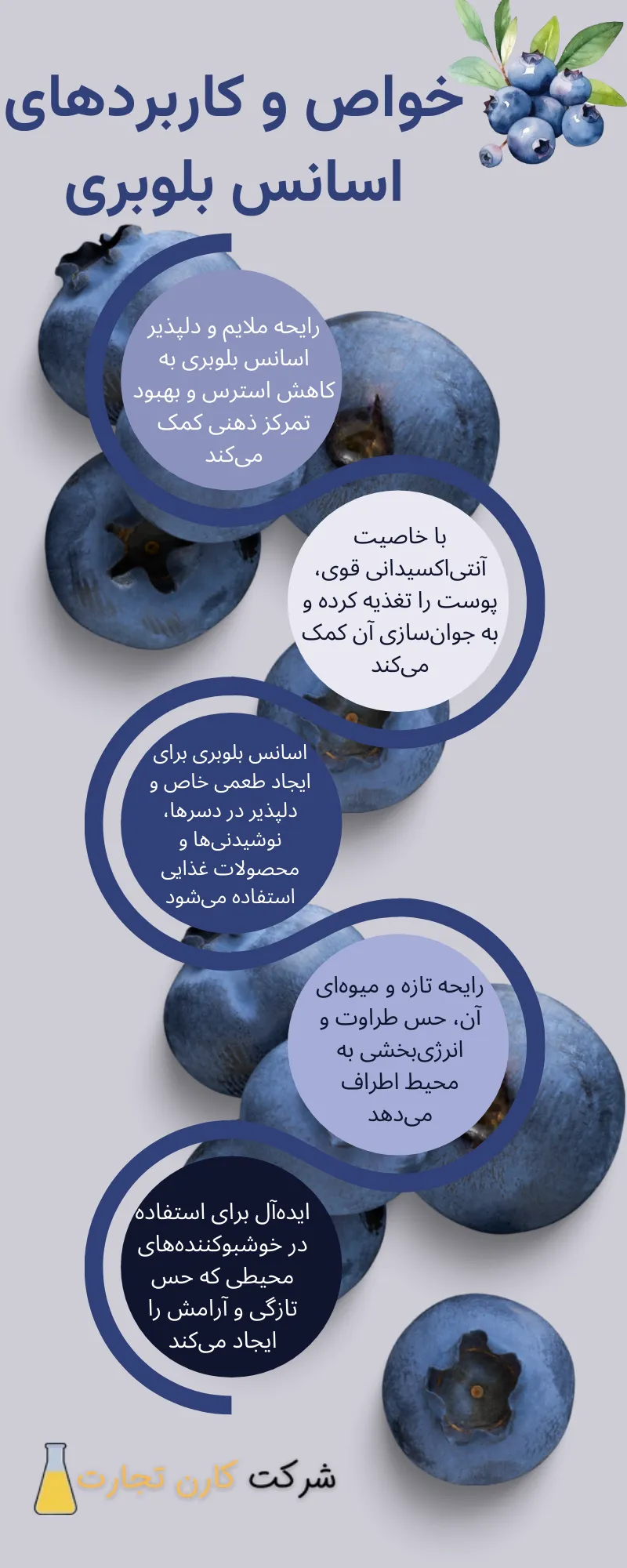 خواص و کاربردهای اسانس بلوبری