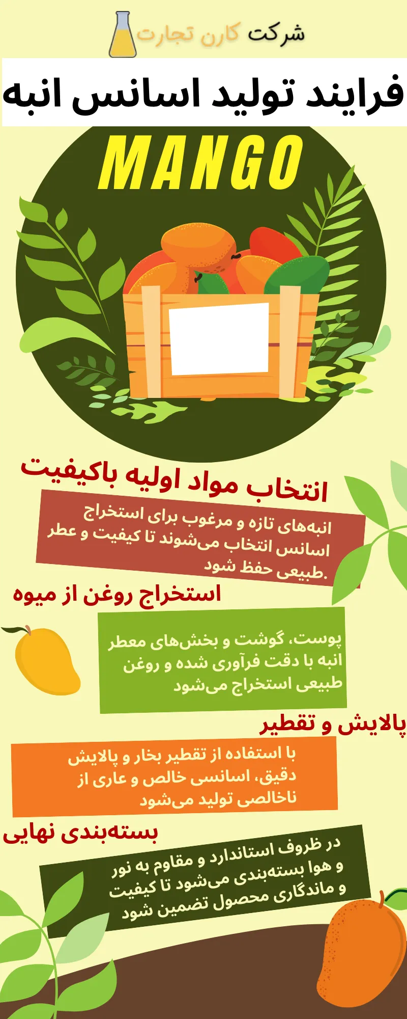 فرایند تولید اسانس انبه