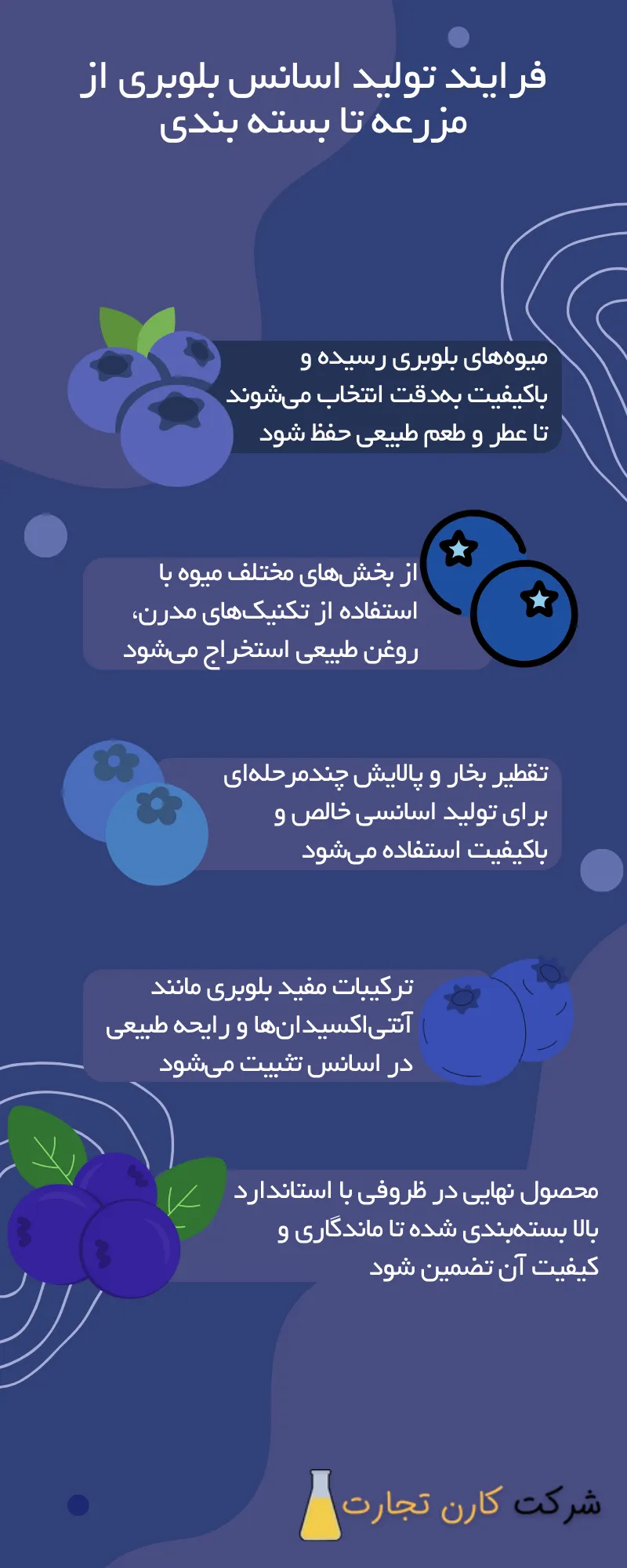 فرایند تولید اسانس بلوبری از مزرعه تا بسته‌ بندی
