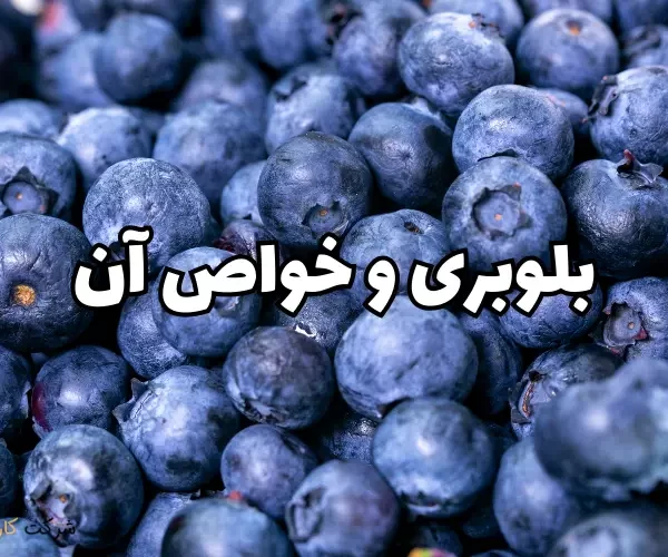 بلوبری و خواص آن