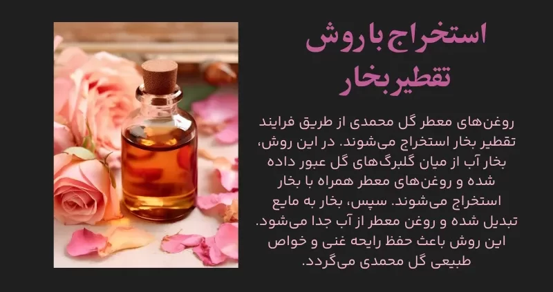 استخراج با روش تقطیر بخار