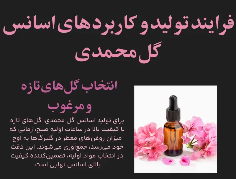 انتخاب گل‌های تازه و مرغوب