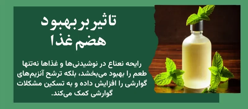 تاثیر بر بهبود هضم غذا