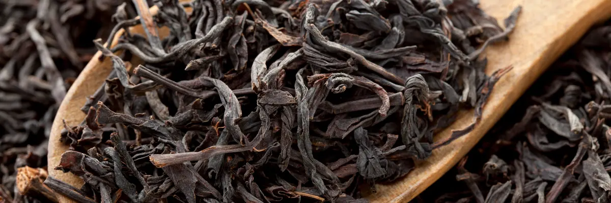 خرید اسانس چای