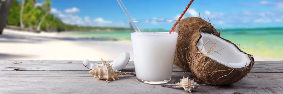 فروش اسانس نارگیل عمده