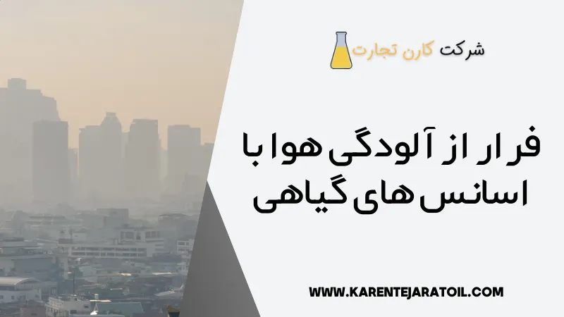 فرار از آلودگی هوا با اسانس های گیاهی