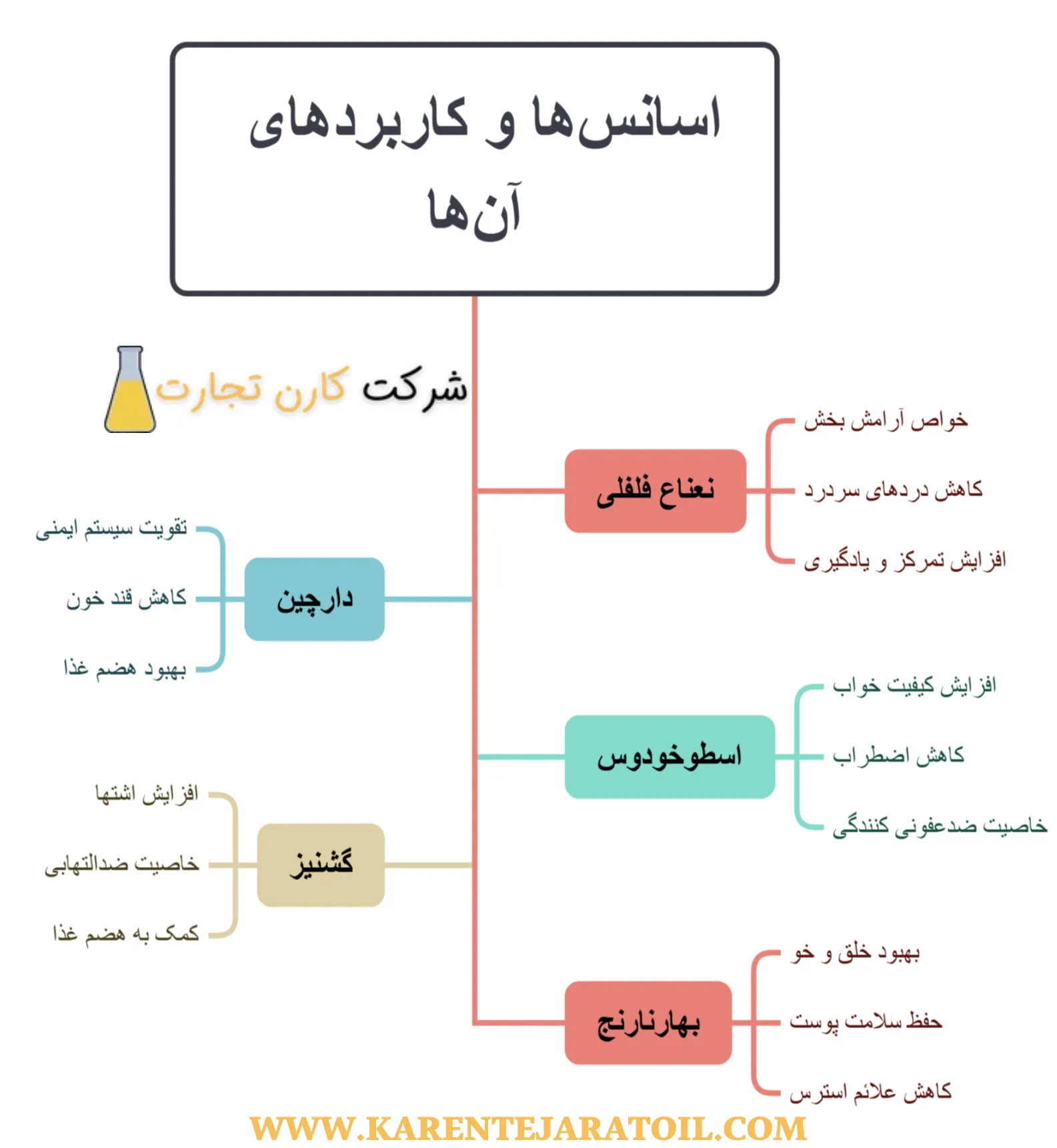 اسانس ها و کاربردهای آنها