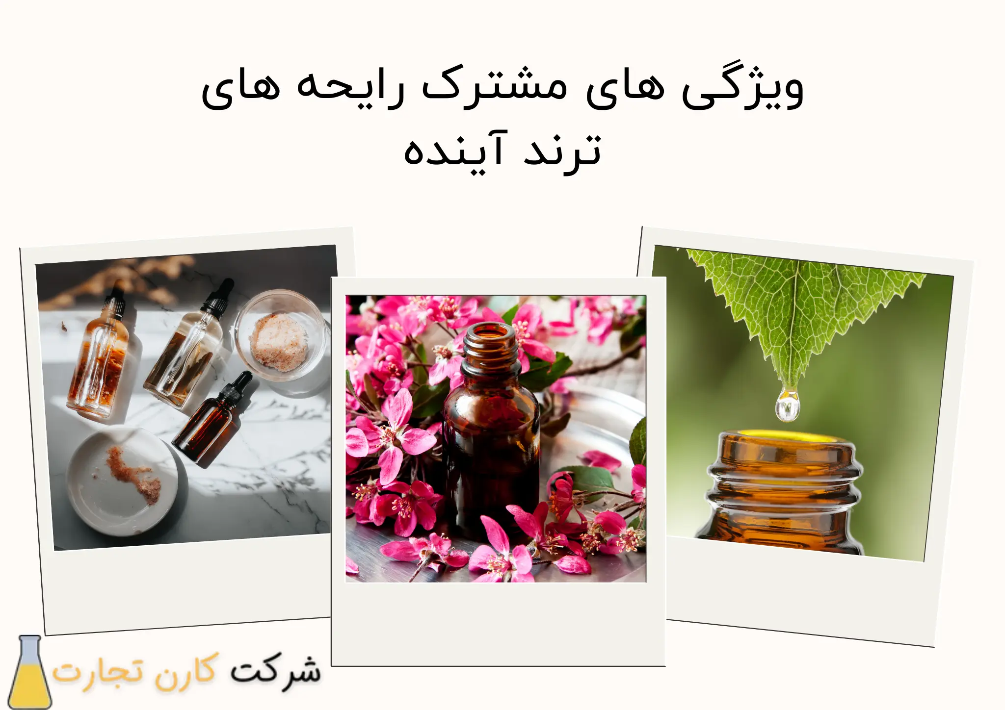 ویژگی‌های مشترک رایحه‌های ترند آینده