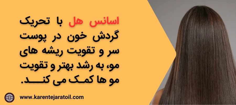 فواید اسانس هل برای پوست و مو و پوست سر